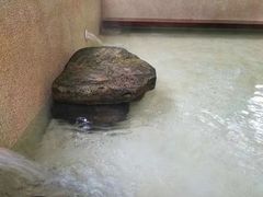 -乐领拈花溪·林涧食韵