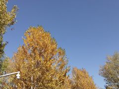 -哈密回王府景区