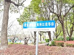 -高东镇樱花园