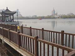 -莲花池公园