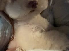 -它主义宠物(梁溪万达店)