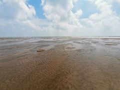 -日照海滨国家森林公园