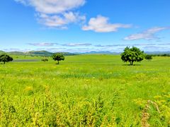 -五角枫生态旅游景区