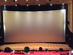 -大光明新国际影城(青浦吾悦店)