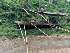 -西双版纳原始森林公园