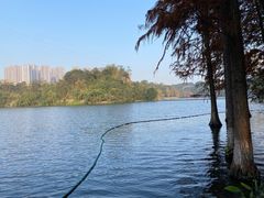 -重庆彩云湖湿地公园