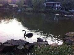 iphone_upload_pic-团城山公园