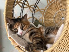 -新荟城(望京店)