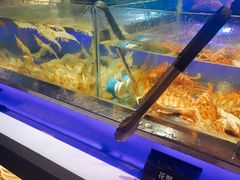 水产区-V-ONE西雅图海鲜自助餐厅(仓山万达广场店)
