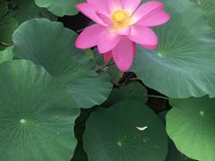 -羊亭河湿地公园