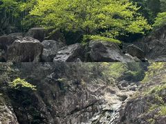 -泽雅景区