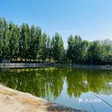 闲来无事，钓个鱼