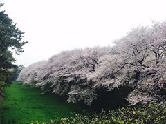 -名古屋城