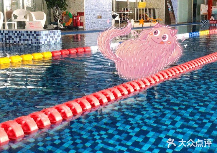 这个夏天学会游泳
