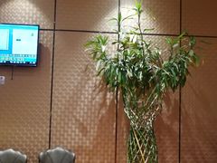 -水晶之星洗浴温泉汗蒸