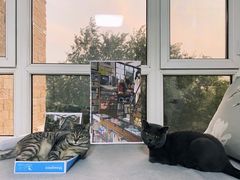 -3D·JP拼图(新中关购物中心店)