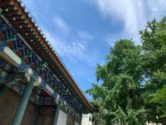 -国家图书馆·古籍馆