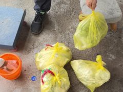 -马陆小张葡萄园农家乐