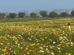 -漩门湾国家湿地公园