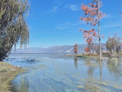 -上海海事大学(临港校区)