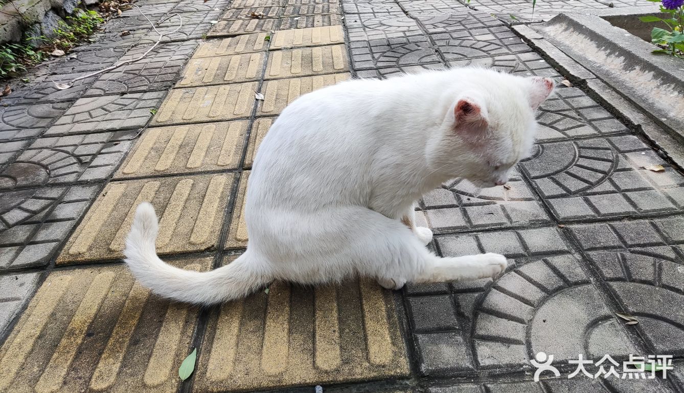 心疼