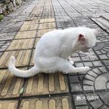心疼