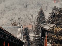 -五台山风景名胜区