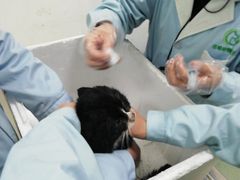 -汪喵宠物医院·骨科心脏影像·犬猫急重症ICU诊疗中心(成华分院)