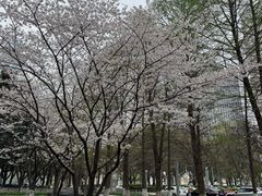 -星湖街(地铁站)