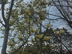 -宁波儿童公园(鄞州区)