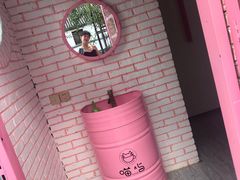 -喵屿·大理花园猫咖