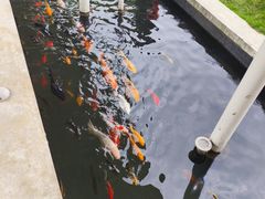 -中国宣纸文化园