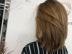 -潘多拉Hairsalon