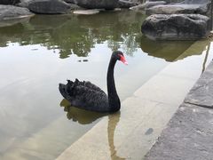 -两江国际影视城