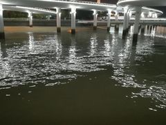 -演武大桥观景平台