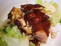 明炉烧鸭拼油鸡饭-大家乐(佛山普君店)