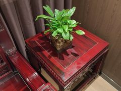 -朝阳闽灶·非遗文化闽菜馆·福建老字号(福飞路店)