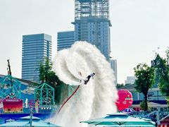 -海合安成都极地海洋公园