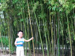 -上海市龙华烈士陵园