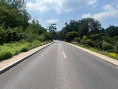 -少林寺欢喜地素斋馆