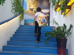 -长沙猫歌音乐餐厅(湖南女子大学店)