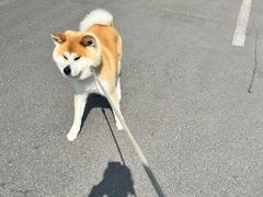 -中粮·祥云小镇