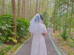 -合肥滨湖国家森林公园