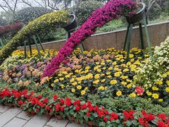 -上海大学(宝山校区)