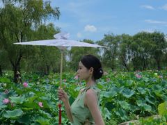 -陶辛水韵