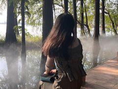 -东湖落雁景区