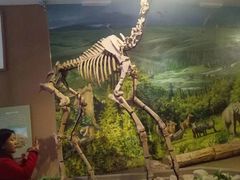 -陕西自然博物馆