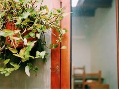 小院-铃木食堂(帽儿胡同店)