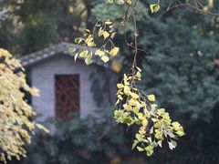 -广州兰圃