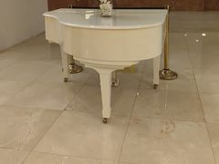 -芜湖金鹰尚美酒店